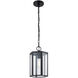 Fusion Collection 1 Light 8.5 inch Matte Black Outdoor Pendant, Edgeworth Family