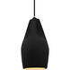 Radiance Collection - Crease Pendant Ceiling Light in Brushed Nickel, Dedicated LED, Black Cord, Carbon Matte Black/Champagne Gold, Form+Finish+Function