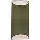 Ambiance Outdoor Wall Sconce