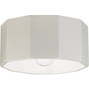 Radiance Collection 1 Light 12 inch Matte White Outdoor Flush-Mount