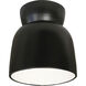 Radiance Collection 1 Light 7.5 inch Carbon Matte Black Outdoor Flush Mount