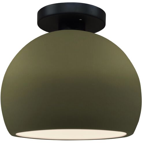 Radiance 1 Light 7 inch Matte Green and Matte Black Semi Flush Ceiling Light