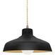 Radiance LED 11.5 inch Carbon Matte Black and Champagne Gold and Antique Brass Pendant Ceiling Light