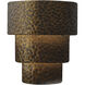 Ambiance Collection LED 12.75 inch Hammered Polished Brass Wall Sconce Wall Light in Dedicated LED, Form+Finish+Function