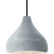Radiance LED 11.5 inch Matte Black and Concrete Pendant Ceiling Light