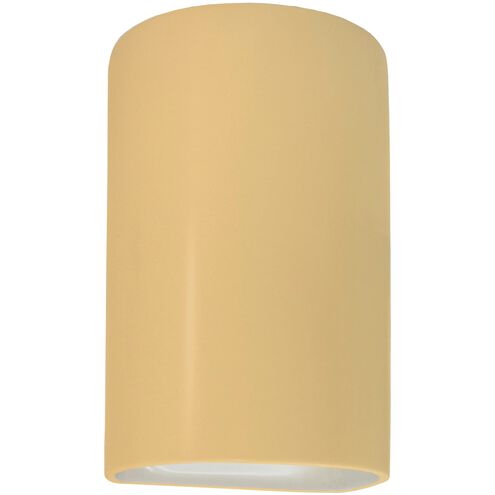Ambiance Outdoor Wall Sconce