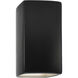 Ambiance 1 Light 9.5 inch Carbon Matte Black Outdoor Wall Sconce, Small