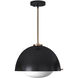EVOLV 15 inch Matte Black with Brass Accents Pendant Ceiling Light, Hemisphere Family