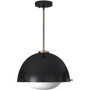 EVOLV 15 inch Matte Black with Brass Accents Pendant Ceiling Light, Hemisphere Family