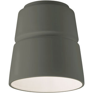 Radiance Collection 1 Light 7.5 inch Pewter Green Outdoor Flush-Mount