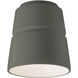 Radiance Collection 1 Light 7.5 inch Pewter Green Outdoor Flush-Mount