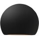 Ambiance Outdoor Wall Sconce