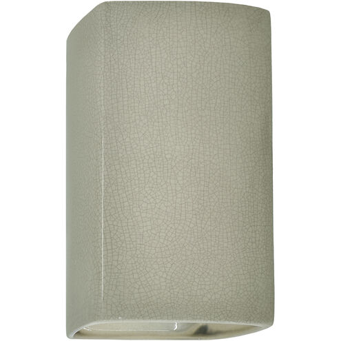 Ambiance 1 Light 13.5 inch Celadon Green Crackle Outdoor Wall Sconce in Incandescent, Large