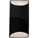 Ambiance Outdoor Wall Sconce