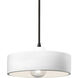 Radiance Collection 1 Light 12 inch Matte Black Pendant Ceiling Light