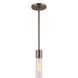 Fusion Collection - Rimini Family 1 Light 2 inch Brushed Brass and Clear Ribbed Pendant Ceiling Light, EVOLV