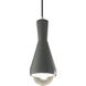 Radiance Collection 1 Light 5 inch Pewter Green with Brushed Nickel Pendant Ceiling Light