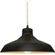 Radiance LED 13.5 inch Carbon Matte Black and Champagne Gold and Matte Black Pendant Ceiling Light