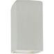 Ambiance Rectangle Wall Sconce Wall Light in Bisque, Incandescent, Large