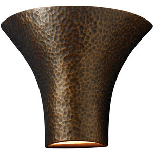 Ambiance Collection LED 9.5 inch Bisque Outdoor Wall Sconce