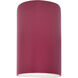 Ambiance Collection LED 12.5 inch Cerise Outdoor Wall Sconce