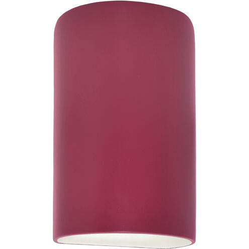 Ambiance Collection LED 12.5 inch Cerise Outdoor Wall Sconce