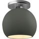 Radiance 1 Light 10 inch Pewter Green and Brushed Nickel Semi Flush Ceiling Light