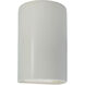 Ambiance Cylinder LED 9.5 inch Matte White Outdoor Wall Sconce, Small