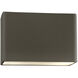 Ambiance Collection LED 6 inch Pewter Green Outdoor Wall Sconce