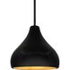 Radiance 1 Light 8 inch Carbon Matte Black and Champagne Gold and Matte Black Pendant Ceiling Light