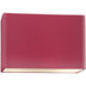 Ambiance Collection LED 8 inch Cerise Outdoor Wall Sconce