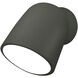 Ambiance Collection 1 Light 7.75 inch Pewter Green Outdoor Wall Sconce