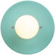 Ambiance Collection 1 Light Reflecting Pool Wall Sconce Wall Light
