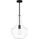 EVOLV 14 inch Matte Black Pendant Ceiling Light, Harlow Family