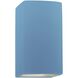 Ambiance Outdoor Wall Sconce