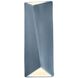 Ambiance Collection LED 9 inch Cerise Wall Sconce Wall Light
