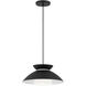 Fusion Collection 1 Light 14.25 inch Matte Black Pendant Ceiling Light, Noreen Family