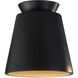 Radiance Collection 1 Light 7.5 inch Carbon Matte Black/Champagne Gold Flush-Mount Ceiling Light