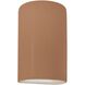 Ambiance Outdoor Wall Sconce