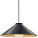 Radiance LED 11.75 inch Carbon Matte Black/Champagne Gold and Brushed Nickel Pendant Ceiling Light
