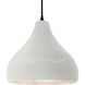 Radiance 1 Light 13.5 inch Matte White and Matte Black Pendant Ceiling Light
