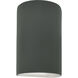 Ambiance LED 9.5 inch Pewter Green Outdoor Wall Sconce