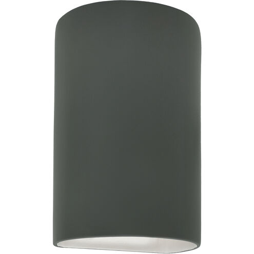 Ambiance LED 9.5 inch Pewter Green Outdoor Wall Sconce