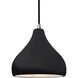 Radiance 1 Light 8 inch Gloss Black and Brushed Nickel Pendant Ceiling Light