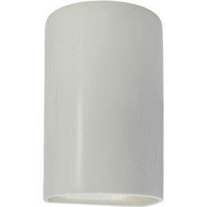 Ambiance Collection LED 13 inch Matte White Outdoor Wall Sconce