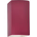Ambiance LED 9.5 inch Cerise Outdoor Wall Sconce