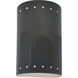 Ambiance Collection LED 9.5 inch Gloss Grey Outdoor Wall Sconce