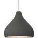 Radiance LED 11.5 inch Gloss Grey and Matte Black Pendant Ceiling Light