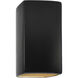 Ambiance LED 9.5 inch Carbon Matte Black/Champagne Gold Outdoor Wall Sconce