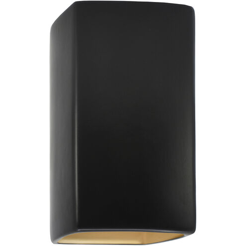 Ambiance LED 9.5 inch Carbon Matte Black/Champagne Gold Outdoor Wall Sconce